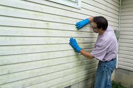 Storm Damage Siding Repair in Lake Los Angeles, CA